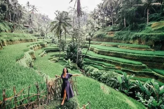 Jatiluwih,Ulundanu,Tamanayun,Banyumala,Waterfall,Bali