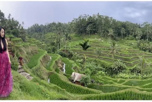 private tour jatiluwih rice terrace,ulun danu and banyu mala waterfall tour