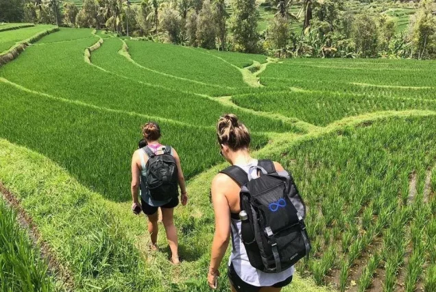 private tour jatiluwih rice terrace,ulun danu and banyu mala waterfall tour