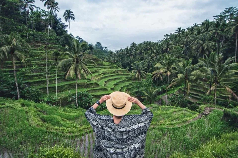 ubud trip, the best of ubud in a day all inclusive