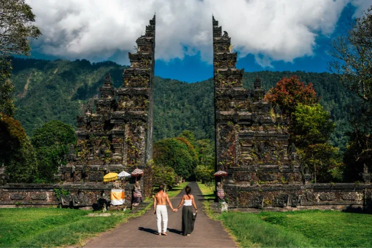 bali driver guide