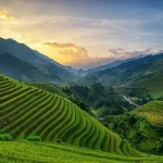 rice terrace bali