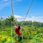 tegallalang bali swing
