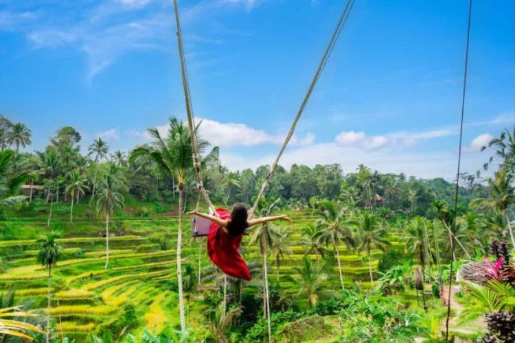 tegallalang bali swing