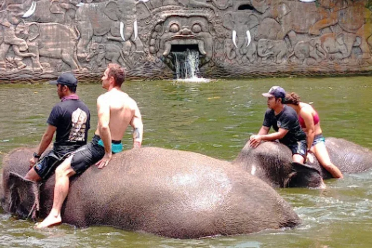 bali elephant safari park