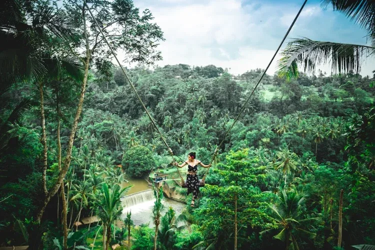 bali swing (1)