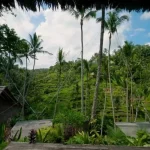 ubud tegalalang