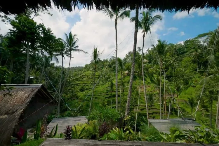 ubud tegalalang