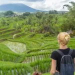 ubud to tegalalang rice terrace